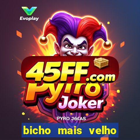 bicho mais velho da loteria dos sonhos